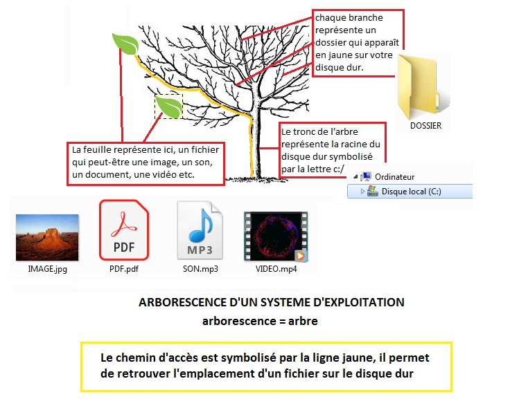 Arborescence de fichiers